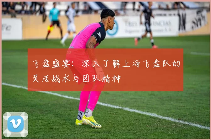 飞盘盛宴：深入了解上海飞盘队的灵活战术与团队精神