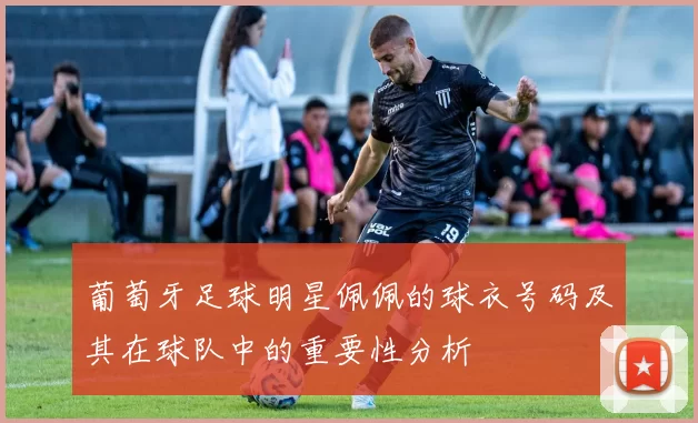 葡萄牙足球明星佩佩的球衣号码及其在球队中的重要性分析