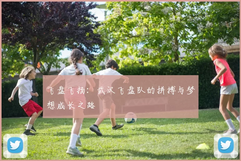 飞盘飞扬：武汉飞盘队的拼搏与梦想成长之路